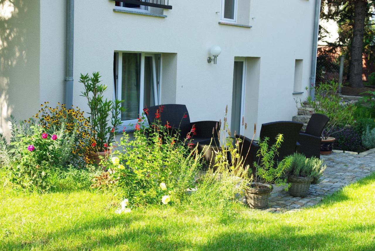 Neu Eingerichtetes Apartment #1 Mit Wlan !Sauna & Hot Tub Zubuchbar! Senftenberg Eksteriør billede